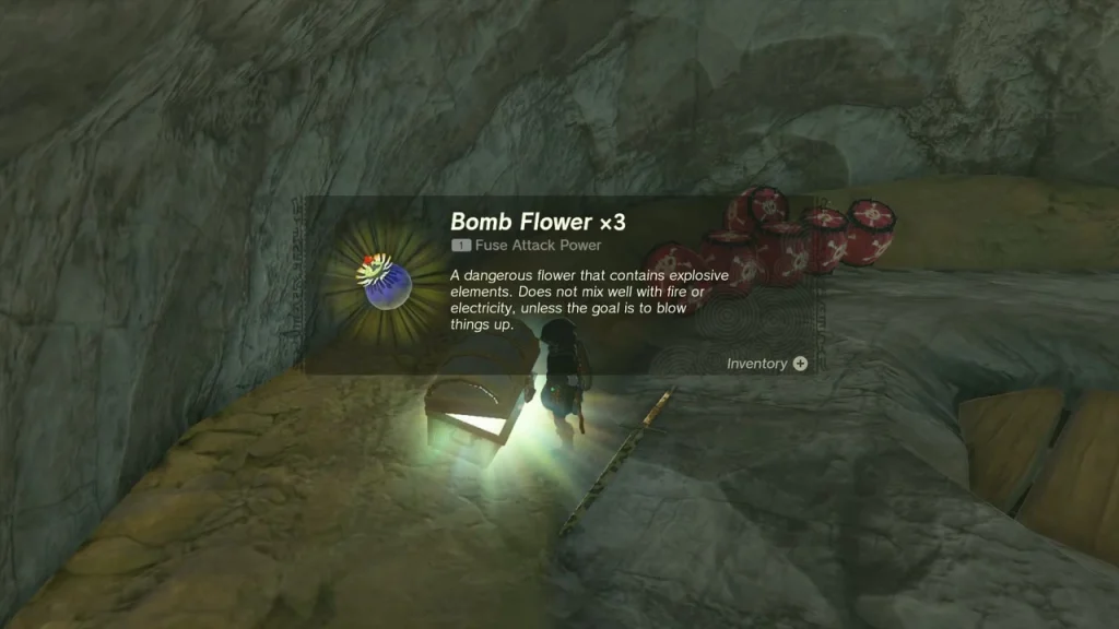 Bomb Flower x3 item box from the chest inside the rock hollow Bomb Flower x3 item box from the chest inside the rock hollow