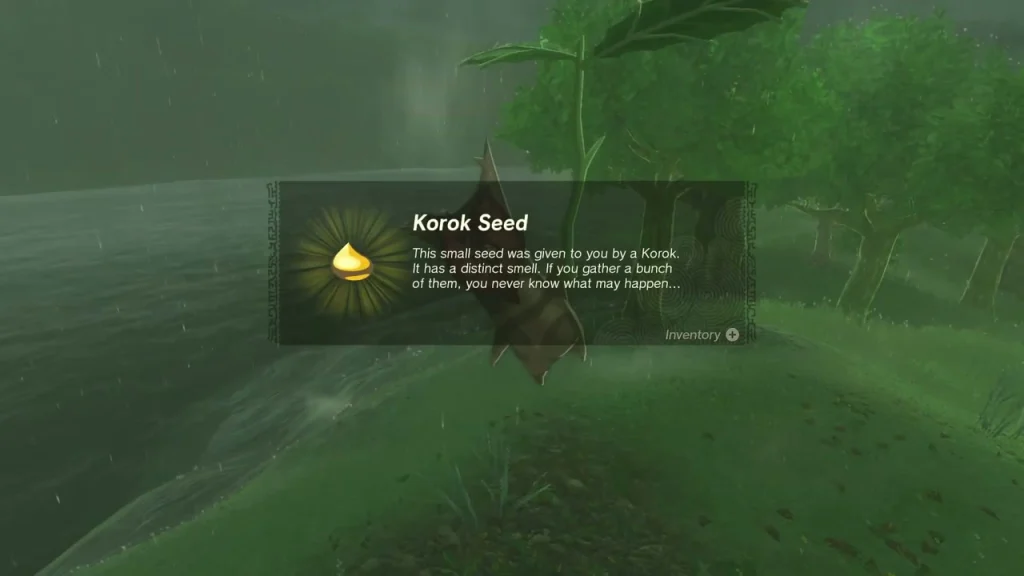 Korok Seed message as the Korok appears on the knoll above the river Korok Seed message as the Korok appears on the knoll above the river