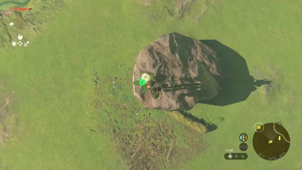 Lone rock with a sprout on top, on a grassy ridge seen from above Lone rock with a sprout on top, on a grassy ridge seen from above