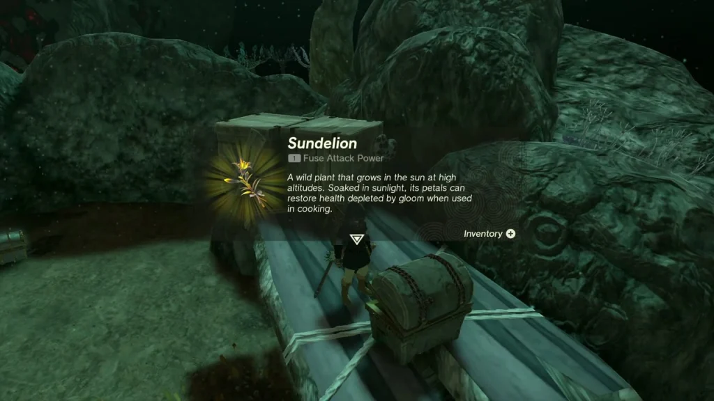 Sundelion item card above the chest on the rails Sundelion item card above the chest on the rails