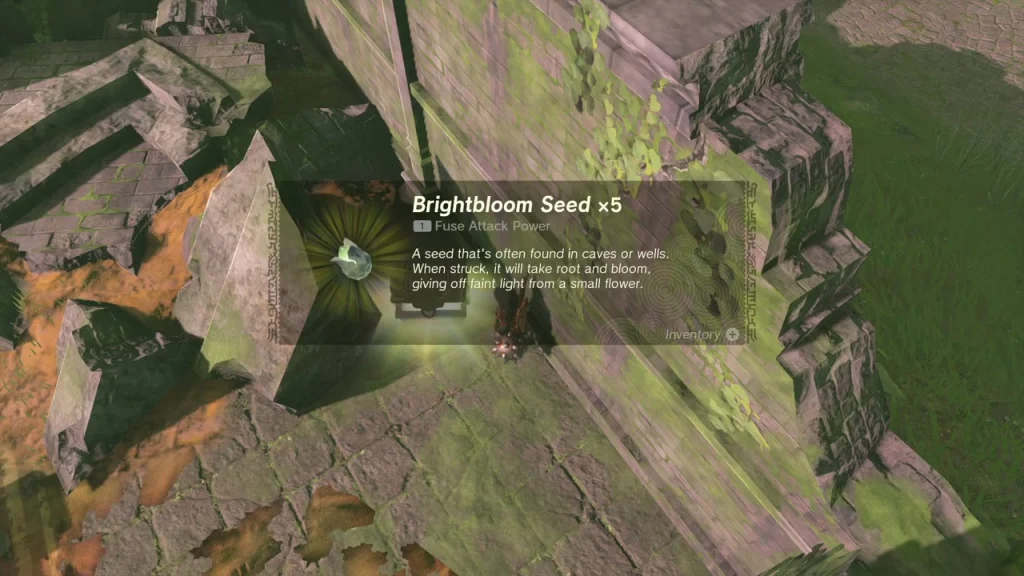 Brightbloom Seed x5 item card in the corner of the ruins Brightbloom Seed x5 item card in the corner of the ruins