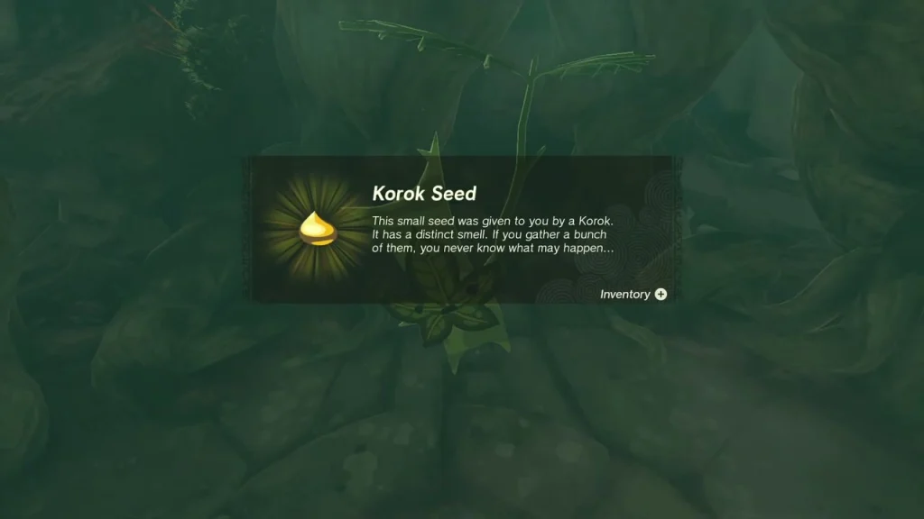 Korok Seed item card in the ruined hallway on Great Sky Island Korok Seed item card in the ruined hallway on Great Sky Island