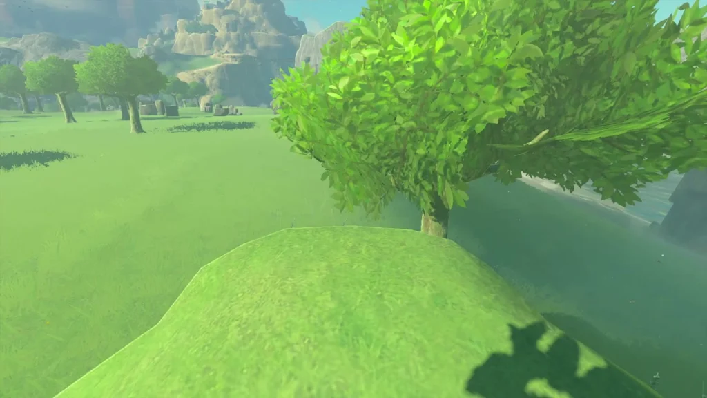 Puff of leaves where the Korok appears on the grassy summit Puff of leaves where the Korok appears on the grassy summit