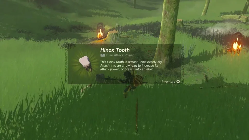 Hinox Tooth item card in the grass after the Stalnox falls Hinox Tooth item card in the grass after the Stalnox falls