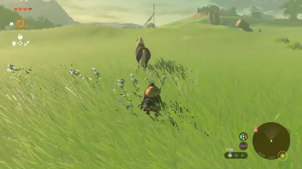 Wild horse in the tall grass of the meadow Wild horse in the tall grass of the meadow