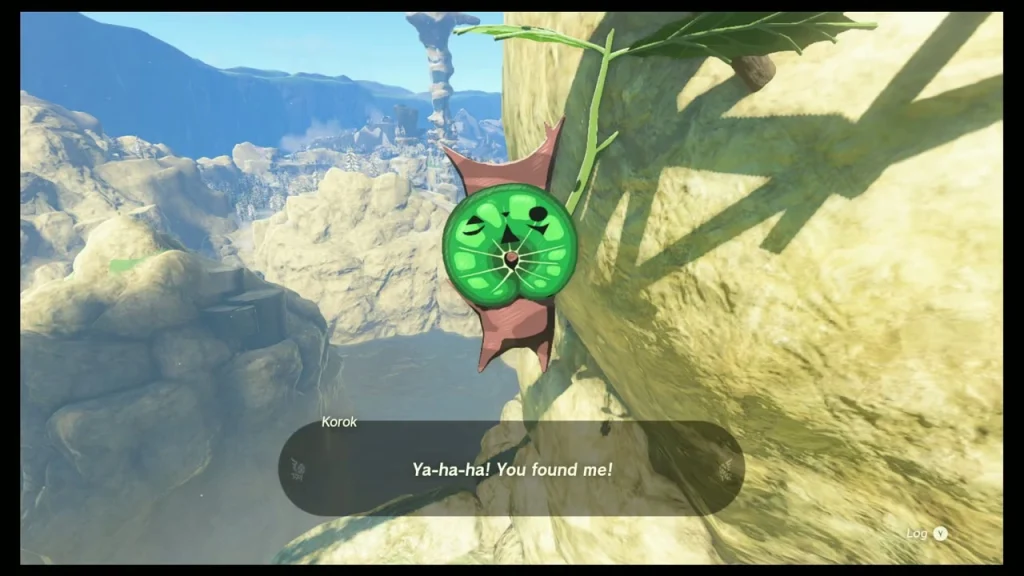Korok Seed received beside a leaf on the cliff face Korok Seed received beside a leaf on the cliff face