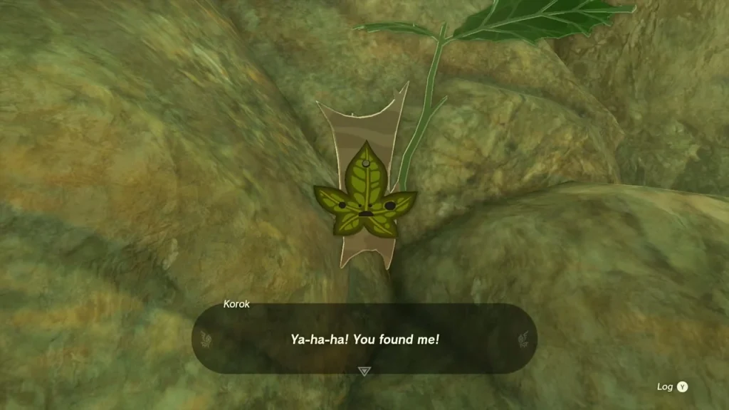 Korok Seed received on the mossy slope above the twin statues Korok Seed received on the mossy slope above the twin statues