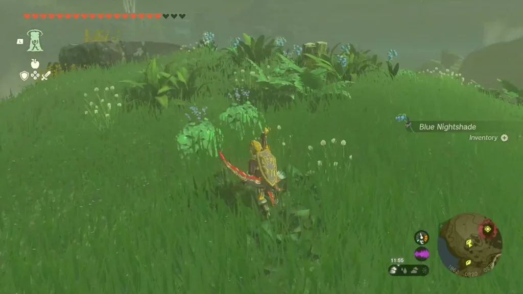 Open grass slope on East Hill where the exhausted Korok waits