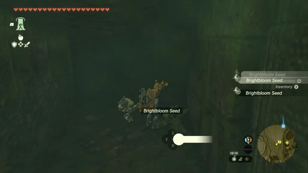 Brightbloom Seed being thrown in the dark well passage