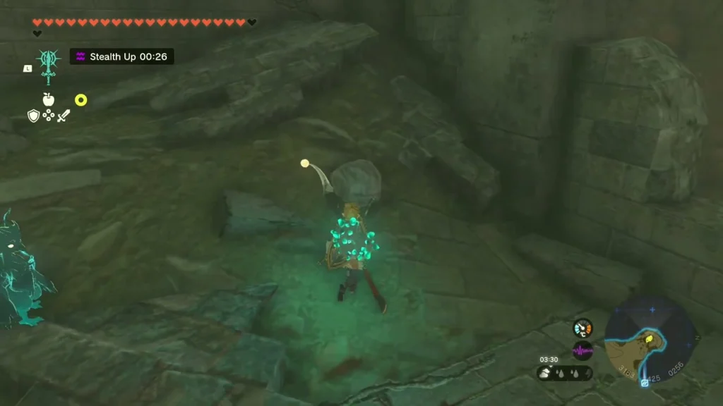 Burning leaf pile beside the Korok rock Burning leaf pile beside the Korok rock