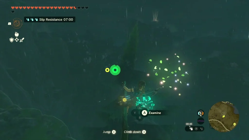 Glowing leaves rising from a ledge at the Korok Glowing leaves rising from a ledge at the Korok