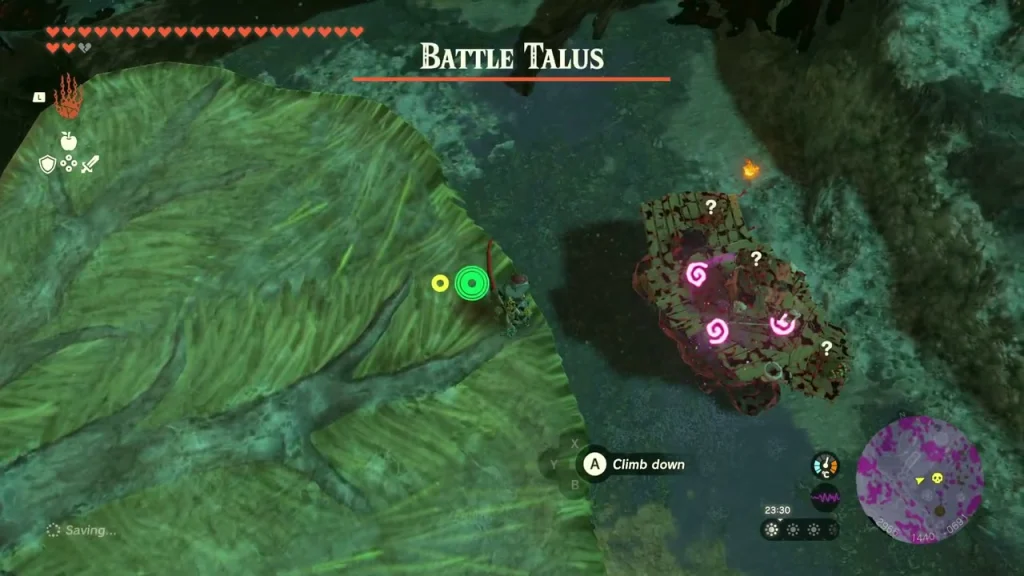 Battle Talus name bar over the leaf-shaped shelf in the Depths Battle Talus name bar over the leaf-shaped shelf in the Depths