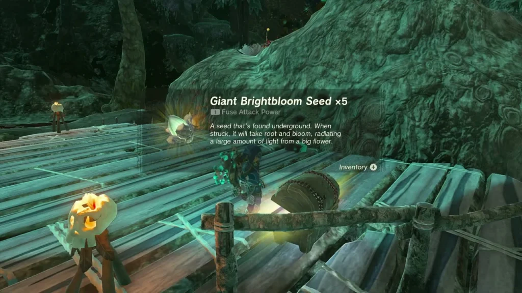 Giant Brightbloom Seed x5 item box above the camp chest Giant Brightbloom Seed x5 item box above the camp chest