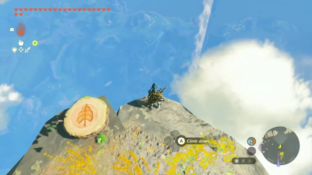 Tree stump marked with a Korok leaf at the top of the sky rock Tree stump marked with a Korok leaf at the top of the sky rock