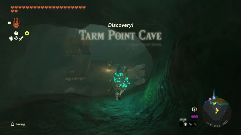 Mouth of Tarm Point Cave on the cliff above the sea Mouth of Tarm Point Cave on the cliff above the sea