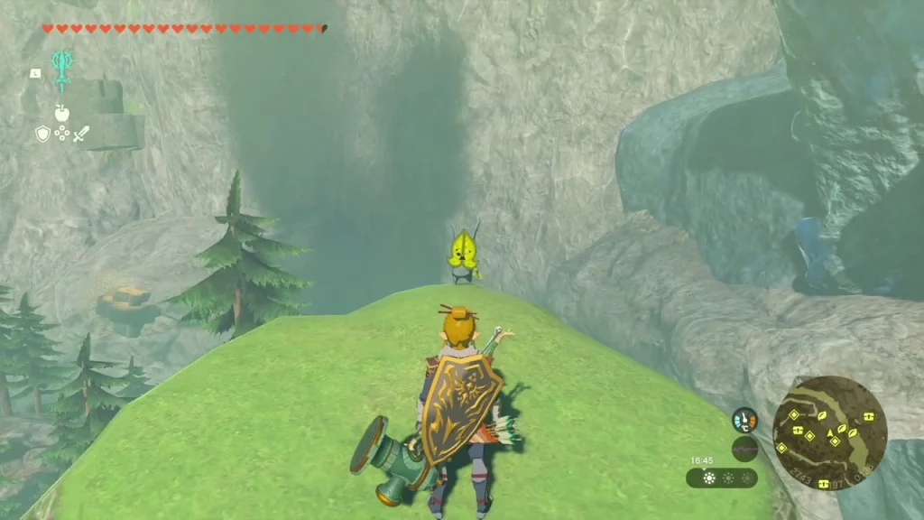 Korok waiting on a small grassy hilltop above the flower trail Korok waiting on a small grassy hilltop above the flower trail