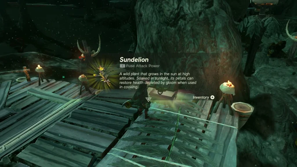 Sundelion item box above the opened chest Sundelion item box above the opened chest