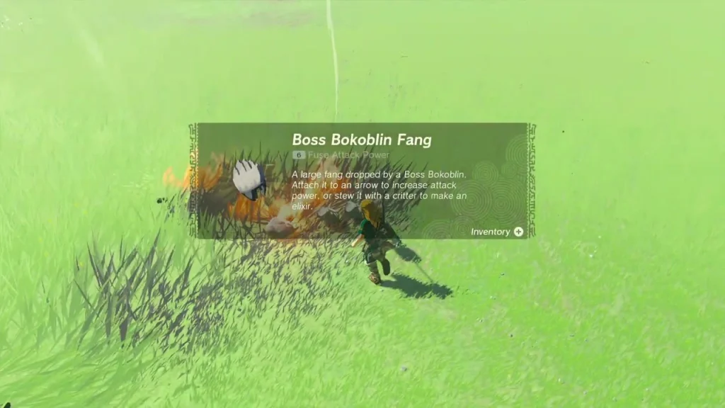 Boss Bokoblin Fang item box in the scorched grass Boss Bokoblin Fang item box in the scorched grass