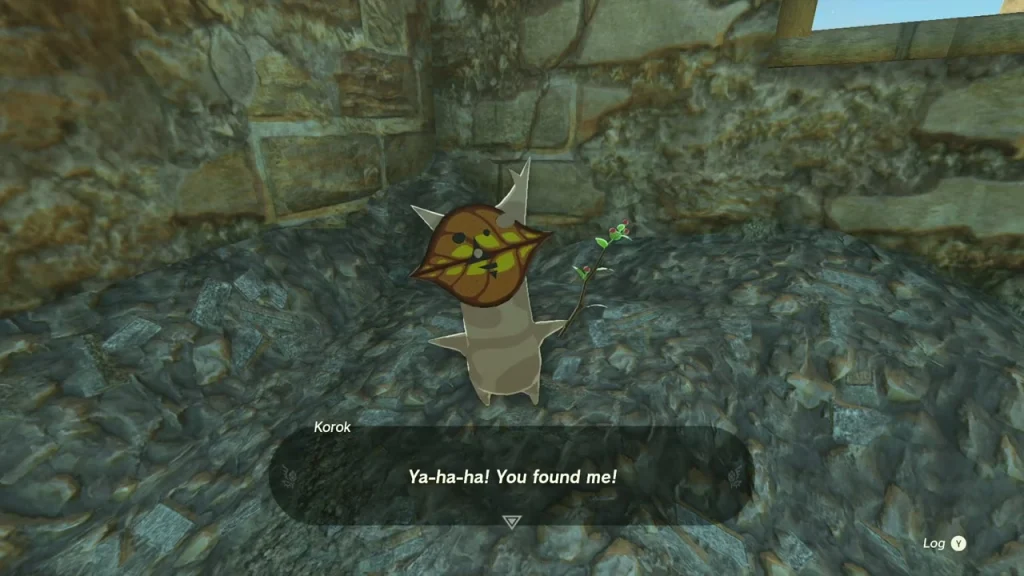Korok standing where the leaves burned away inside the ruined house Korok standing where the leaves burned away inside the ruined house