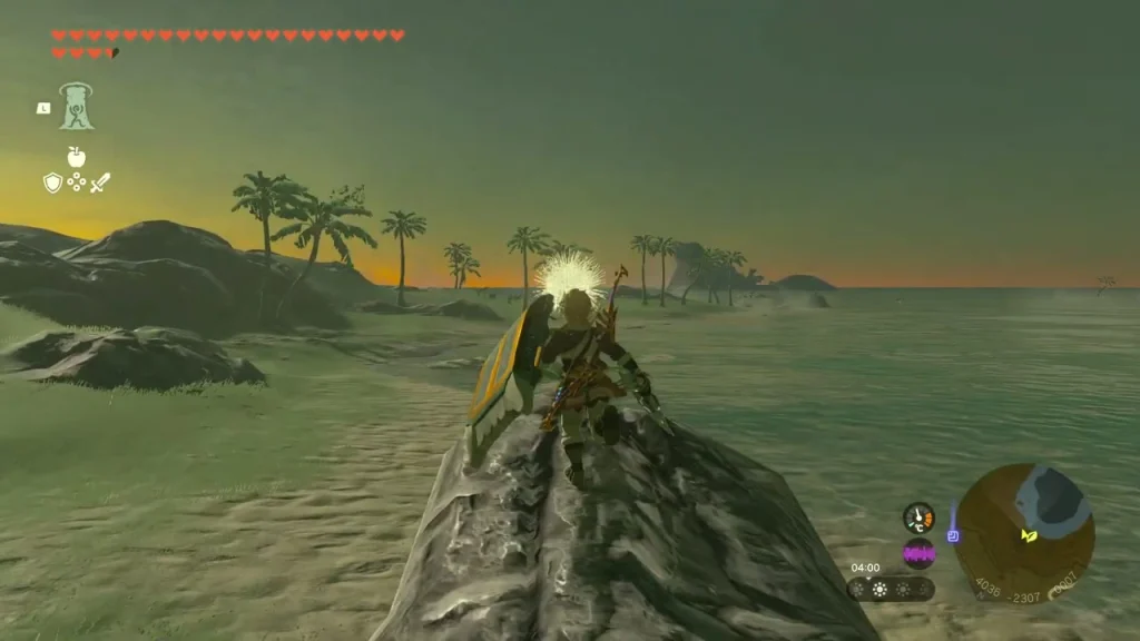 Dandelion fluff over a rock on the beach where the Korok sits Dandelion fluff over a rock on the beach where the Korok sits