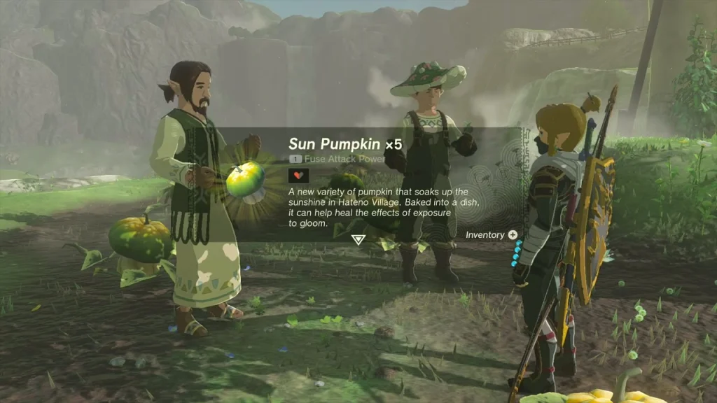 Sun Pumpkin x5 item box held in front of Reede and the planted pumpkin field Sun Pumpkin x5 item box held in front of Reede and the planted pumpkin field