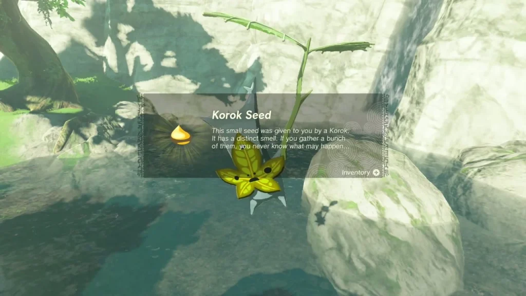 Korok Seed item box beside white rocks at a waterfall pool Korok Seed item box beside white rocks at a waterfall pool