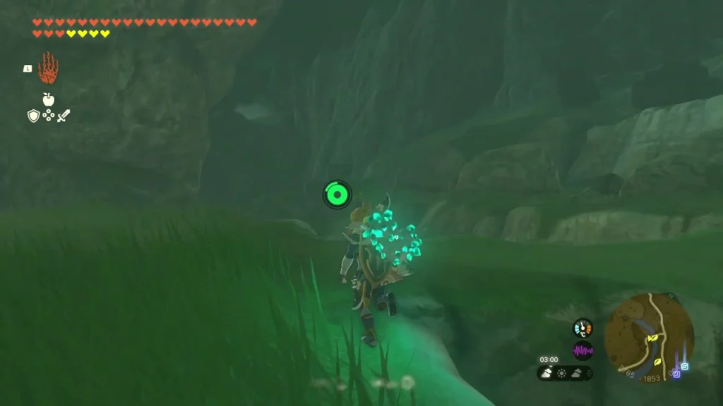 Korok leaf above the lily pond in the hidden pool Korok leaf above the lily pond in the hidden pool