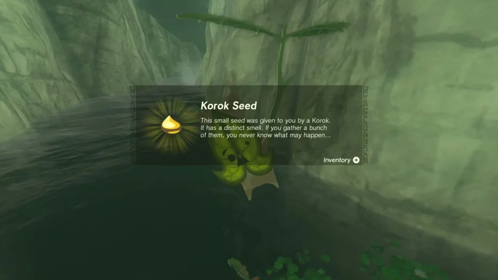 Korok Seed item box above the lily pond Korok Seed item box above the lily pond