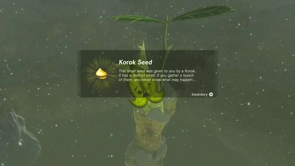 Korok seed reward on top of the rock pillar after the balloon is popped Korok seed reward on top of the rock pillar after the balloon is popped