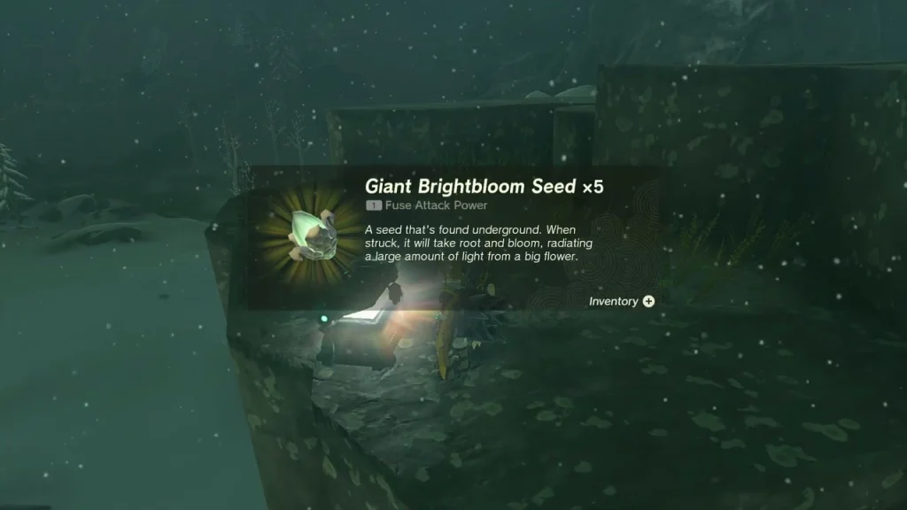 Giant Brightbloom Seed x5 item box over the chest on top of the boulder Giant Brightbloom Seed x5 item box over the chest on top of the boulder