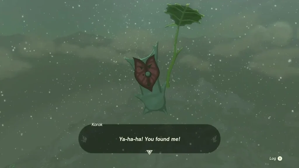 Korok seed reward in front of the Korok freed from the stone wall Korok seed reward in front of the Korok freed from the stone wall