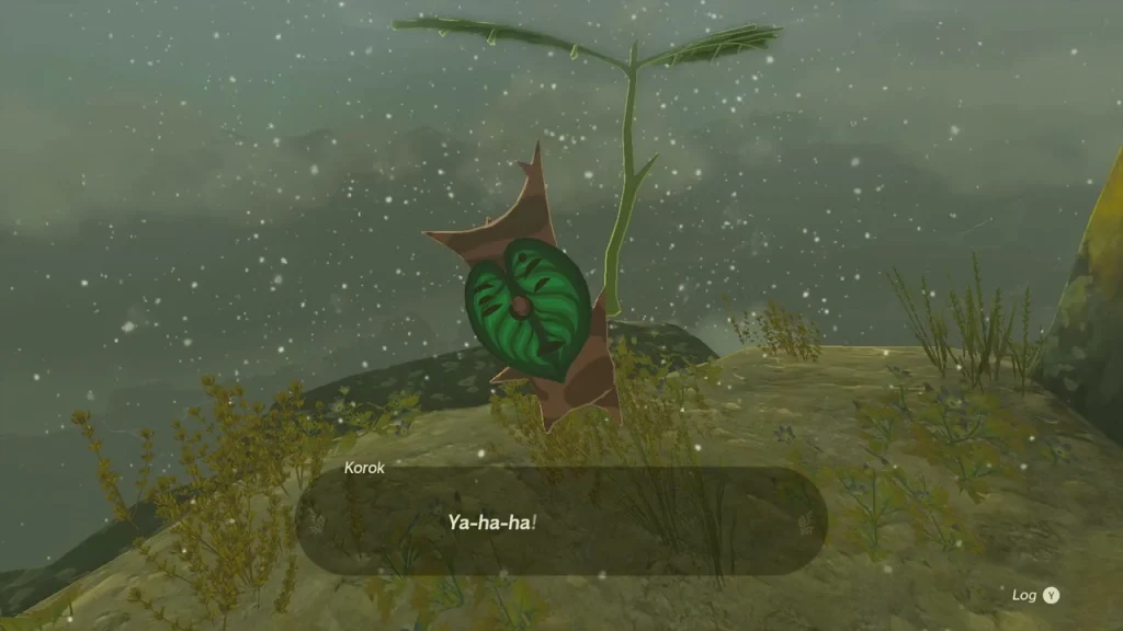 Korok seed reward on the stump at the top of the South Hebra sky island Korok seed reward on the stump at the top of the South Hebra sky island