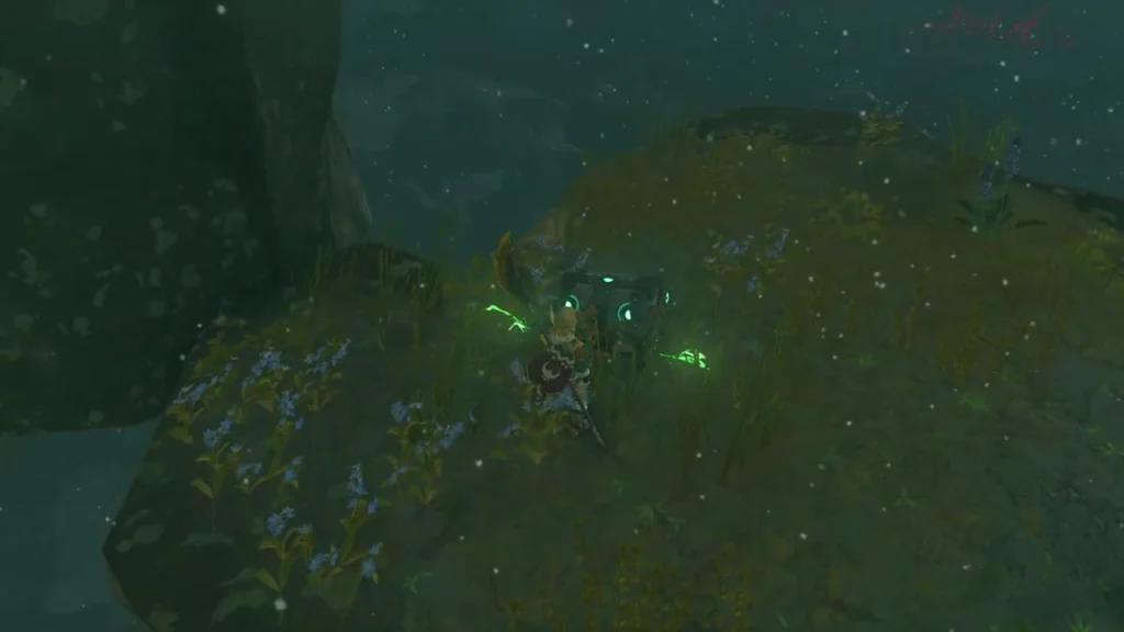 Glowing chest on a moss-covered ledge of a West Hebra sky island Glowing chest on a moss-covered ledge of a West Hebra sky island