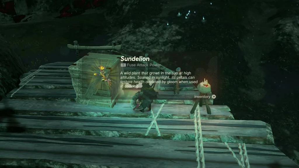 Sundelion from a chest on a plank platform beside a lit torch