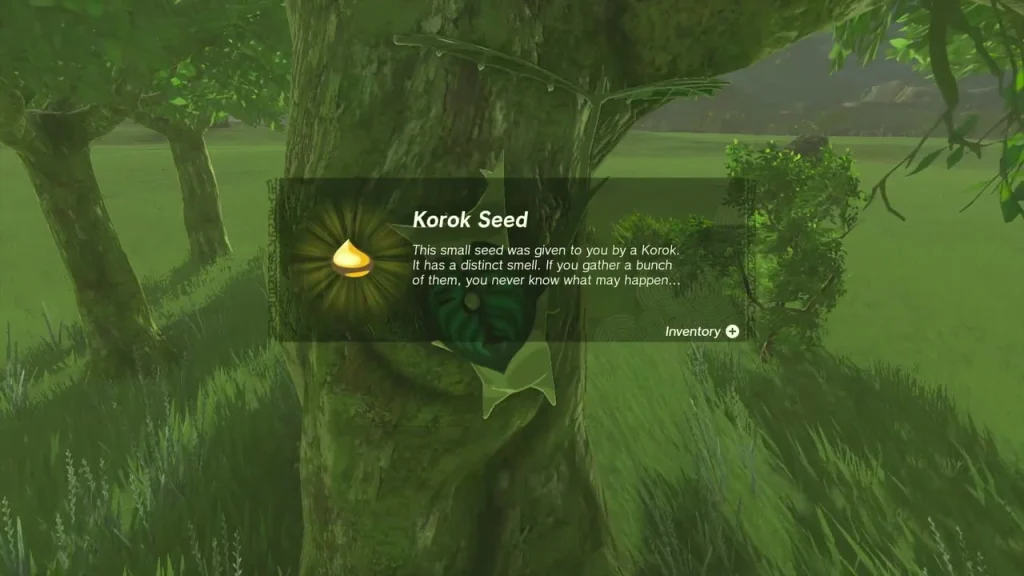 Korok Seed item box beside the tree after breaking the acorn pot Korok Seed item box beside the tree after breaking the acorn pot