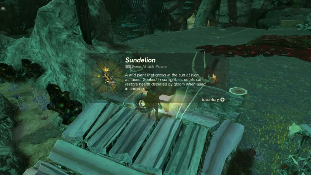 Sundelion item box on a wooden platform in the Depths Sundelion item box on a wooden platform in the Depths