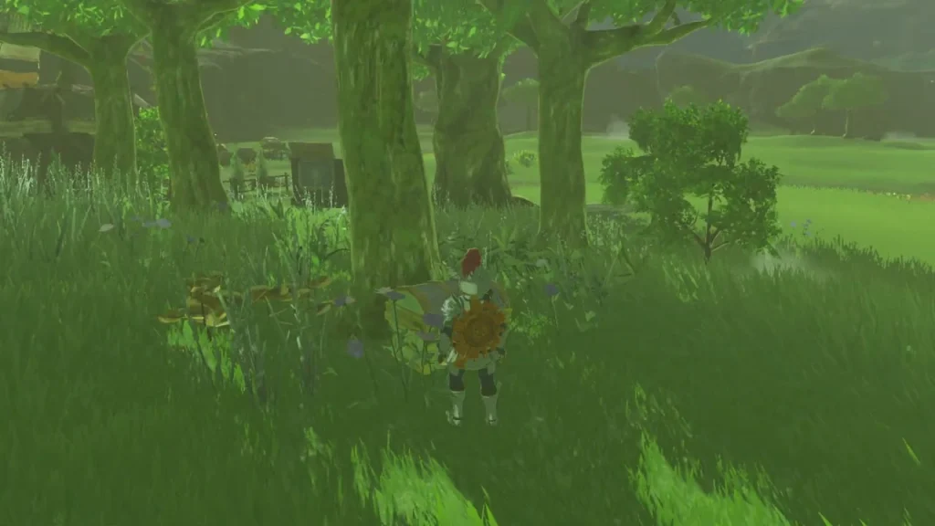 Tall grass under trees where the chest hides Tall grass under trees where the chest hides