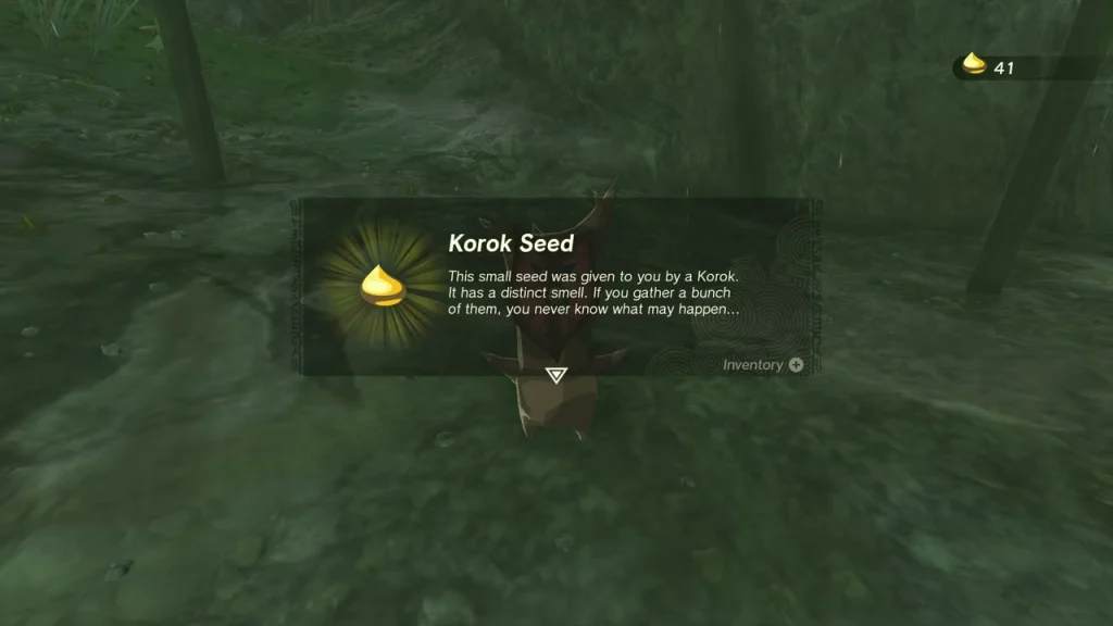 Korok Seed item box in a dark grove by the lake Korok Seed item box in a dark grove by the lake