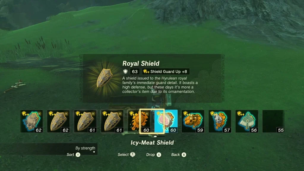 Royal Shield item box above the weapon menu Royal Shield item box above the weapon menu
