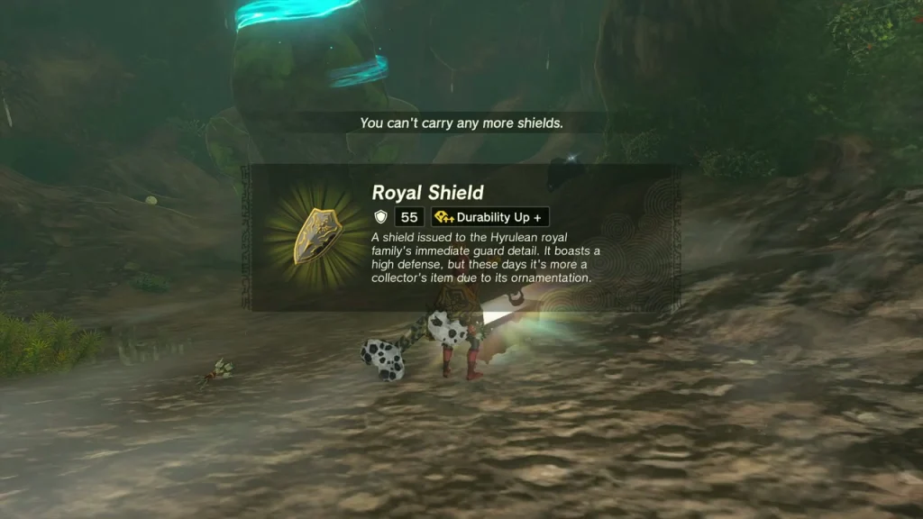 Royal Shield item box from a chest inside the River of the Dead Waterfall Cave Royal Shield item box from a chest inside the River of the Dead Waterfall Cave