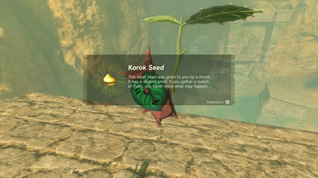 Korok seed item box beside a Korok standing on a stone shelf of the canyon wall Korok seed item box beside a Korok standing on a stone shelf of the canyon wall