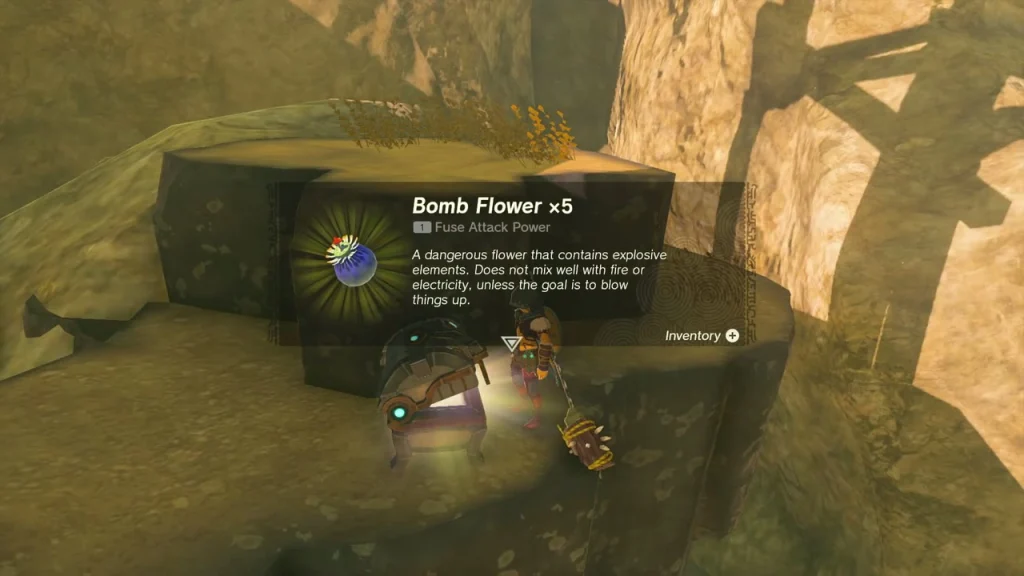 Bomb Flower x5 item box shown over the open chest on the stone ruin Bomb Flower x5 item box shown over the open chest on the stone ruin