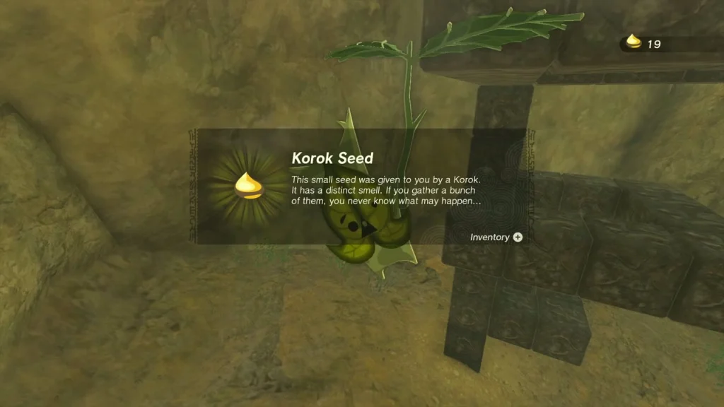Korok seed item box and a Korok leaf beside the completed Zonai cube wall Korok seed item box and a Korok leaf beside the completed Zonai cube wall