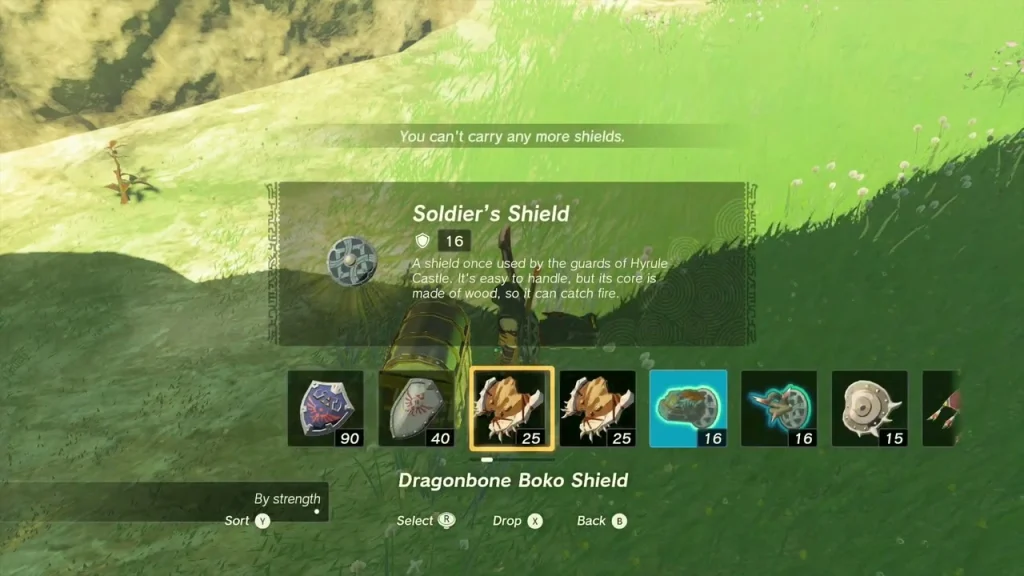 Soldier's Shield item box shown over the chest on the grassy slope Soldier's Shield item box shown over the chest on the grassy slope