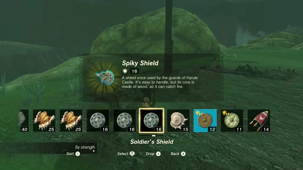 Spiky Shield item box shown at the chest in the grass Spiky Shield item box shown at the chest in the grass