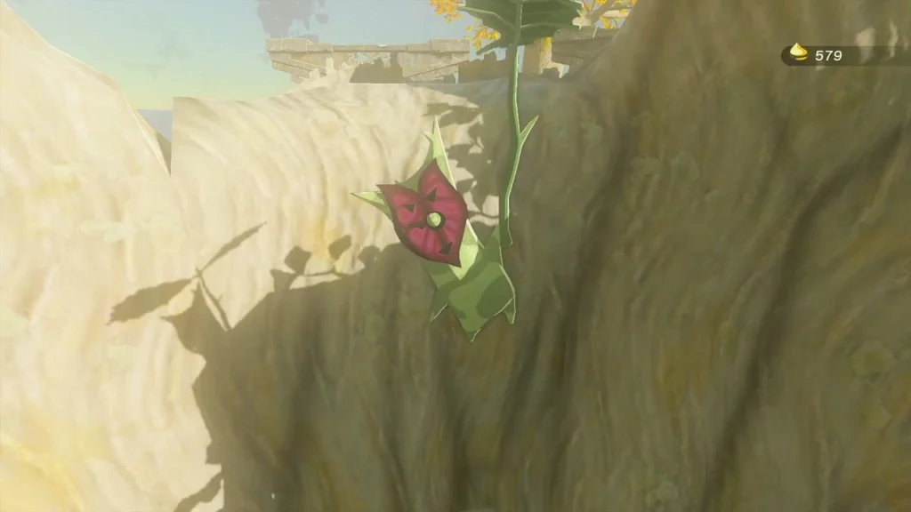 Red Korok flower growing from the side of the pale cliff Red Korok flower growing from the side of the pale cliff