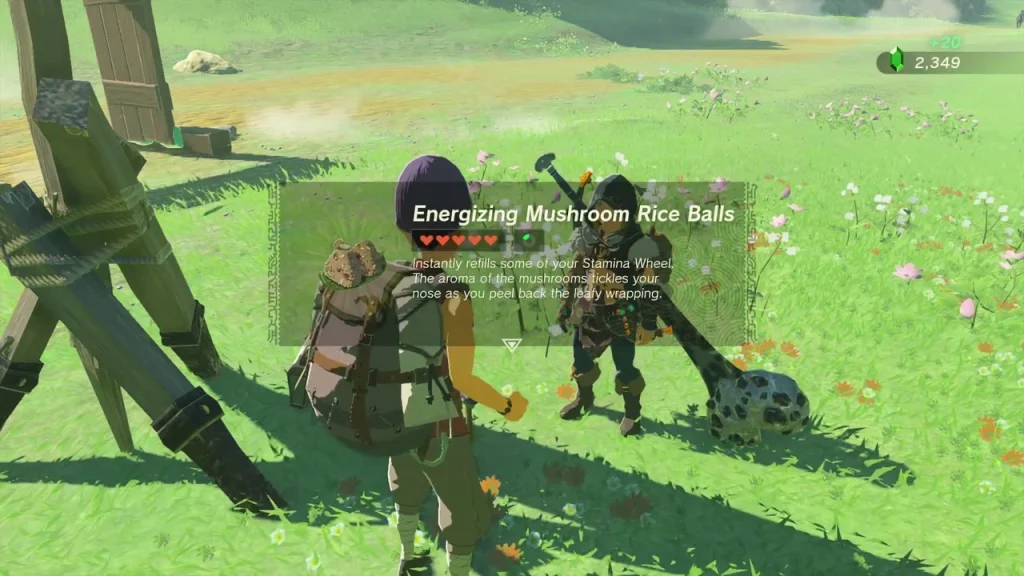 Energizing Mushroom Rice Balls given beside the signpost