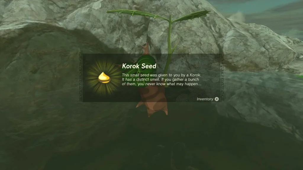 Korok in the pool giving a Korok Seed