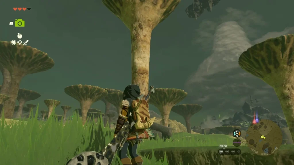Mushroom trees above a rocky hollow with a leaf pad