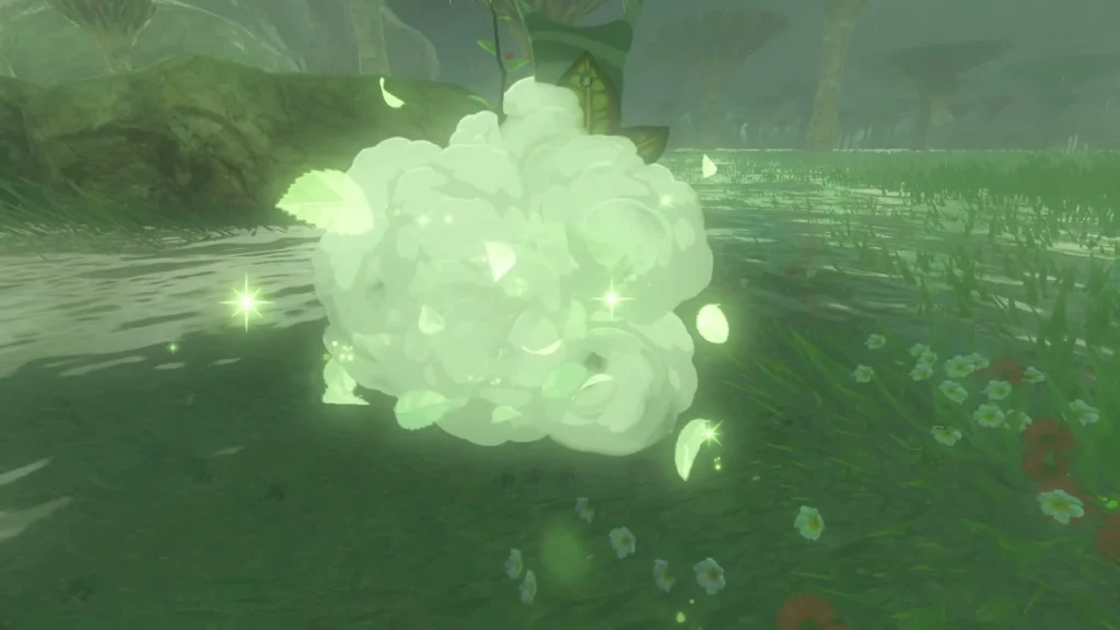 Korok Seed received on a bright grassy slope